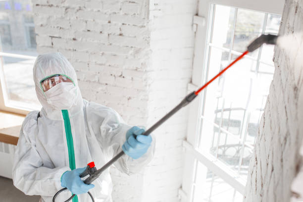 Best Air Quality Testing for Mold Spores  in Buena Vista, GA