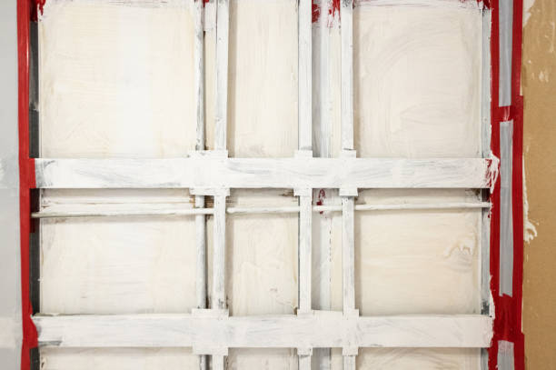 Best Comprehensive Air Testing for Mold Contaminants  in Buena Vista, GA