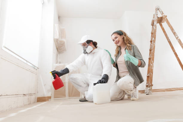 Best Mold Remediation for Healthcare Facilities  in Buena Vista, GA