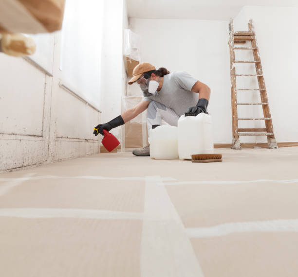 Best Mold Documentation for Insurance Claims  in Buena Vista, GA