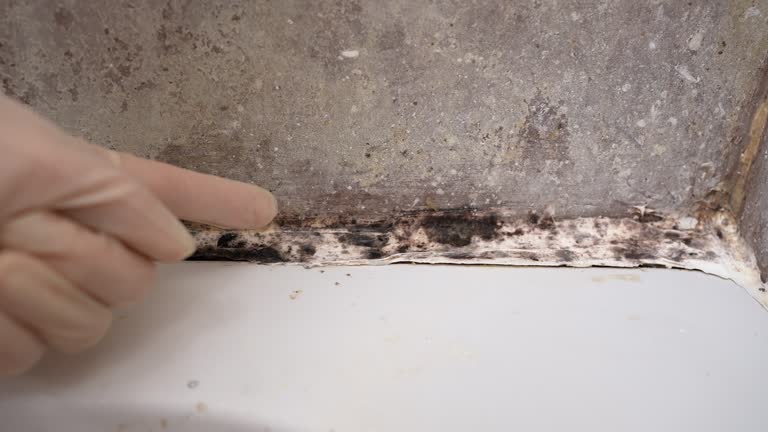 Best Residential Mold Inspection & Testing  in Buena Vista, GA